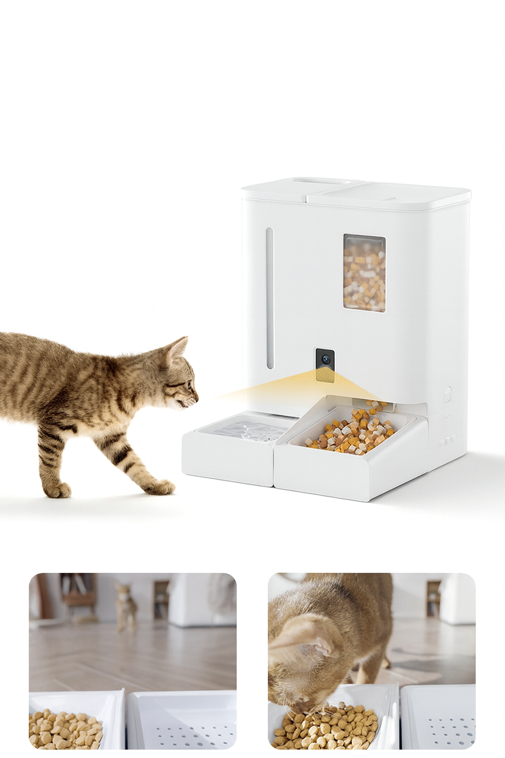 Smart 2-in-1 Automatic Pet Feeder & Water Dispenser