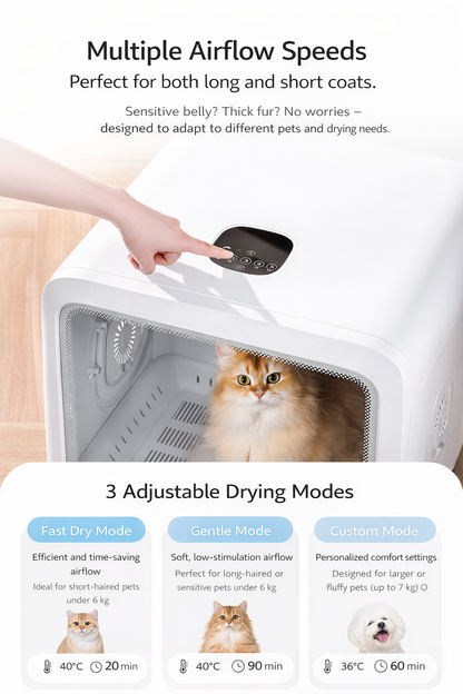 Smart Pet Drying Box 70L｜Quiet, Safe & Fully Automatic for Cats & Small Dogs